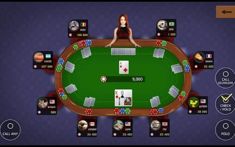 TEXAS HOLDEM POKER ONLINE